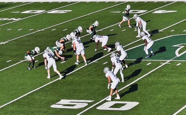 这些情节使 这些情节使