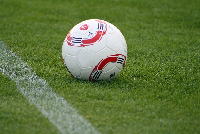 趁着秋光正 趁着秋光正