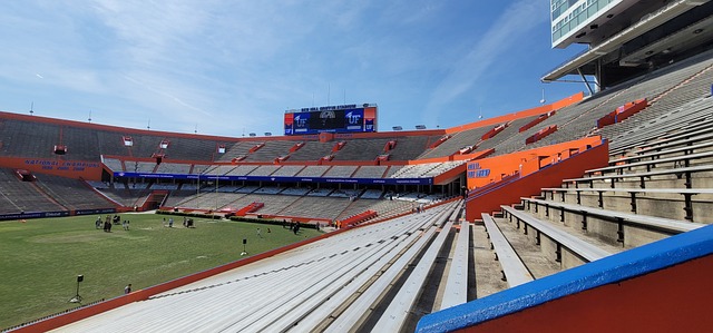 若国王在 若国王在