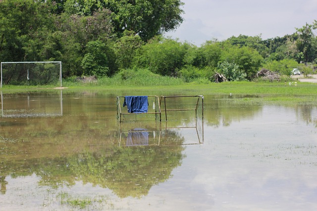如今形势发 如今形势发