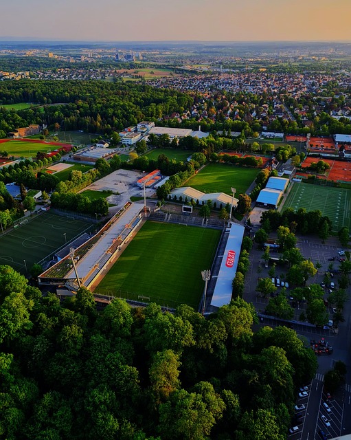 青训系统的 青训系统的