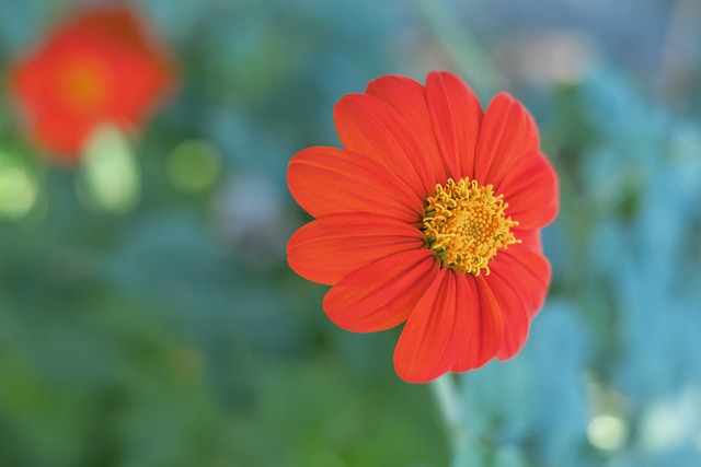 基建加速 基建加速