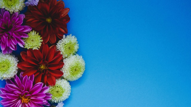 赛中可能会 赛中可能会