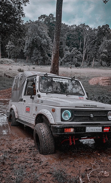 加码努力成 加码努力成